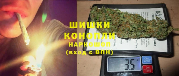 PSILOCYBIN Аркадак