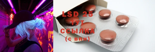 PSILOCYBIN Аркадак