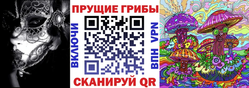 сколько стоит  Голицыно  Псилоцибиновые грибы Magic Shrooms 